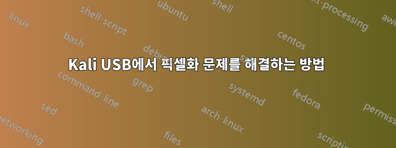 Kali USB에서 픽셀화 문제를 해결하는 방법