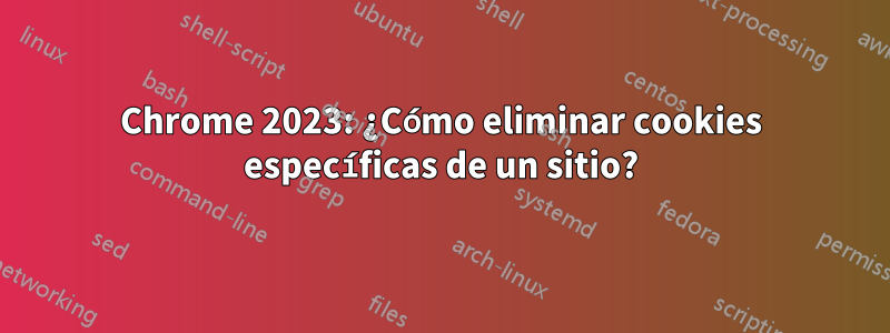 Chrome 2023: ¿Cómo eliminar cookies específicas de un sitio?