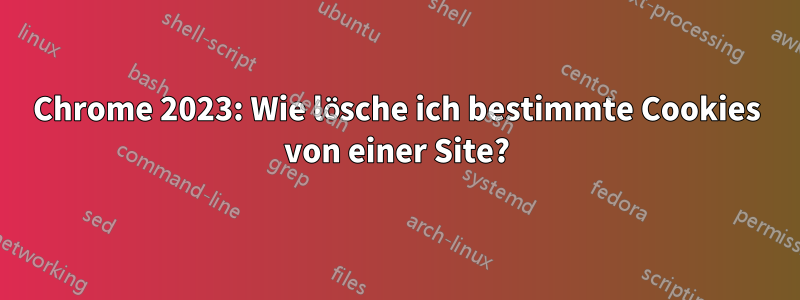 Chrome 2023: Wie lösche ich bestimmte Cookies von einer Site?