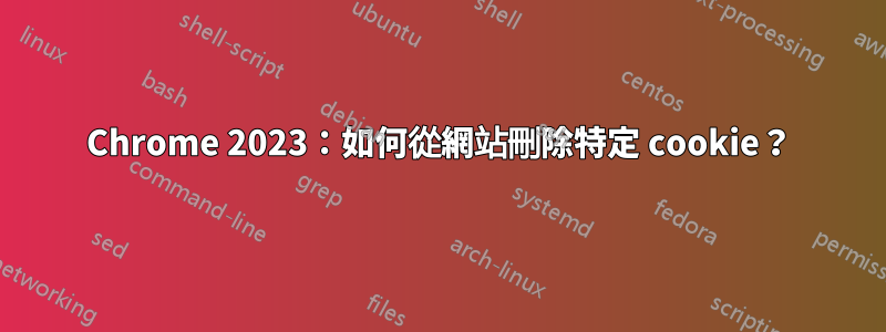 Chrome 2023:如何從網站刪除特定 cookie?