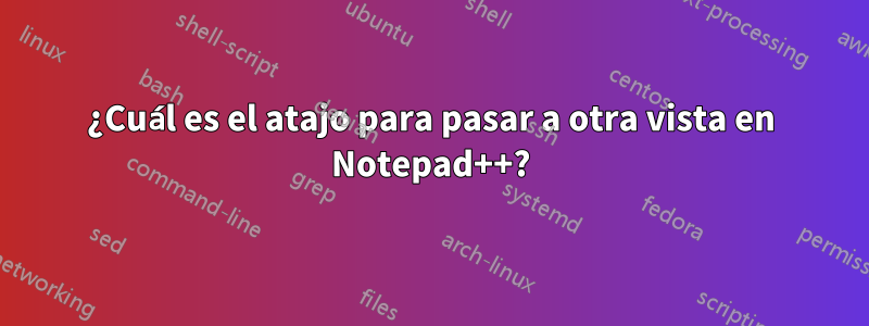 ¿Cuál es el atajo para pasar a otra vista en Notepad++?