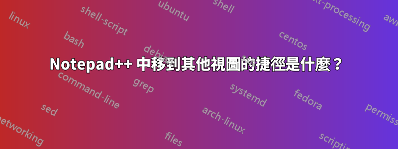 Notepad++ 中移到其他視圖的捷徑是什麼？