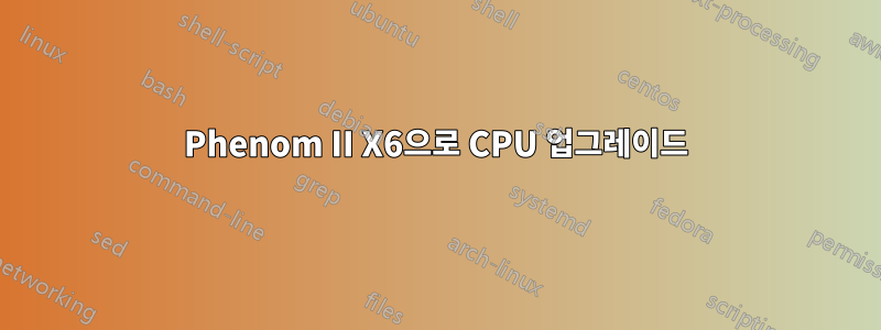 Phenom II X6으로 CPU 업그레이드