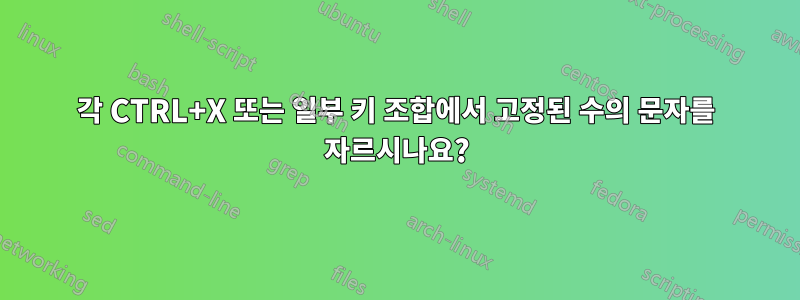 각 CTRL+X 또는 일부 키 조합에서 고정된 수의 문자를 자르시나요?