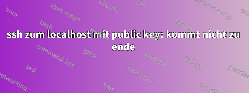 ssh zum localhost mit public key: kommt nicht zu ende