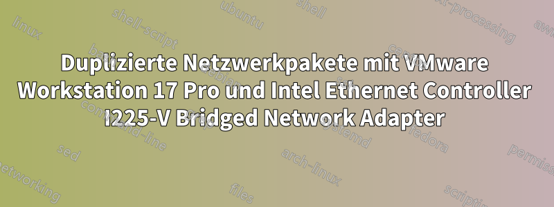 Duplizierte Netzwerkpakete mit VMware Workstation 17 Pro und Intel Ethernet Controller I225-V Bridged Network Adapter