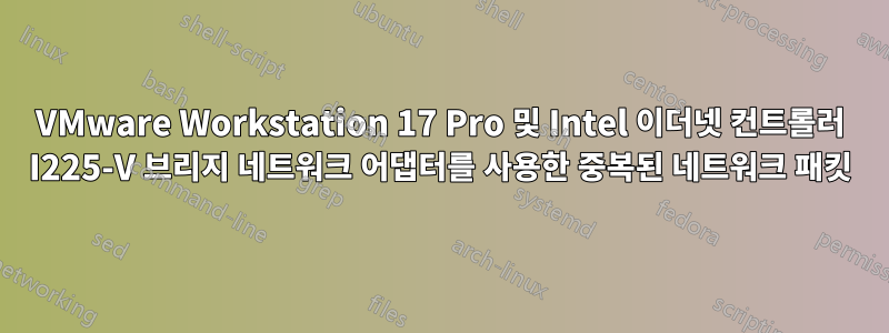 VMware Workstation 17 Pro 및 Intel 이더넷 컨트롤러 I225-V 브리지 네트워크 어댑터를 사용한 중복된 네트워크 패킷