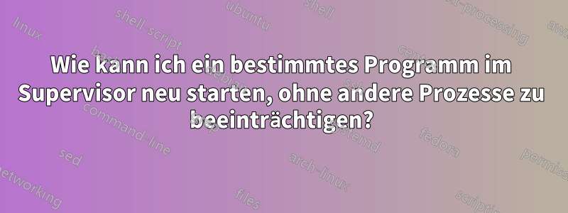 Wie kann ich ein bestimmtes Programm im Supervisor neu starten, ohne andere Prozesse zu beeinträchtigen?