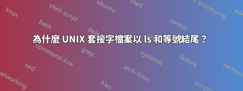 為什麼 UNIX 套接字檔案以 ls 和等號結尾？