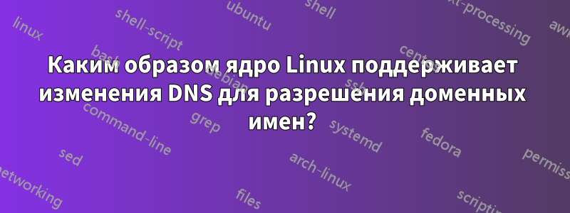 Каким образом ядро ​​Linux поддерживает изменения DNS для разрешения доменных имен?