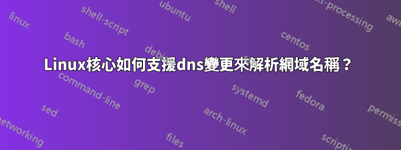 Linux核心如何支援dns變更來解析網域名稱？