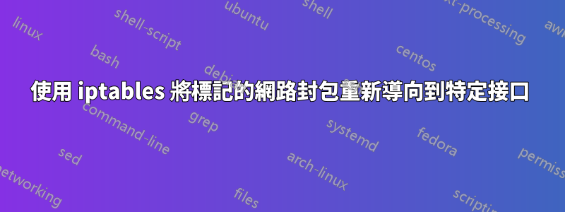 使用 iptables 將標記的網路封包重新導向到特定接口