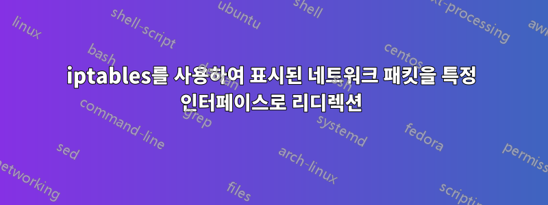 iptables를 사용하여 표시된 네트워크 패킷을 특정 인터페이스로 리디렉션