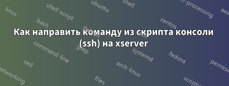 Как направить команду из скрипта консоли (ssh) на xserver