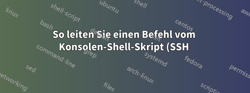 So leiten Sie einen Befehl vom Konsolen-Shell-Skript (SSH) an den XServer weiter