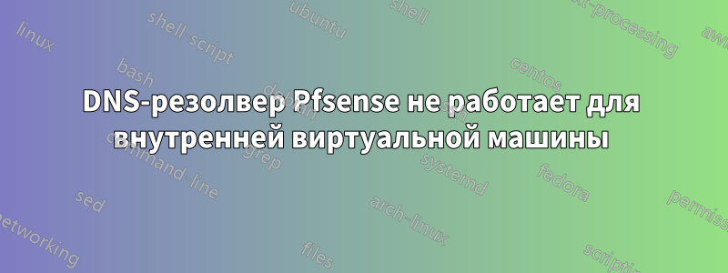 DNS-резолвер Pfsense не работает для внутренней виртуальной машины