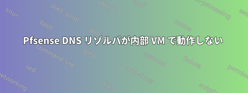 Pfsense DNS リゾルバが内部 VM で動作しない