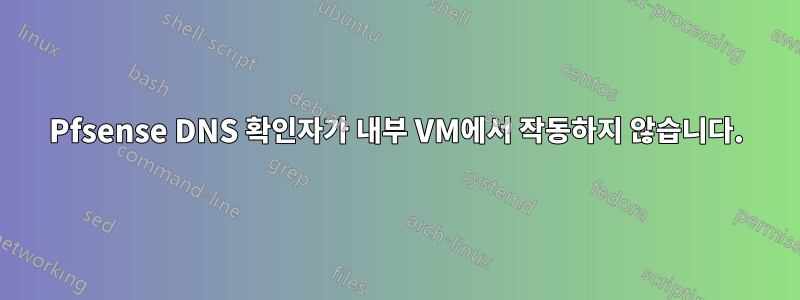 Pfsense DNS 확인자가 내부 VM에서 작동하지 않습니다.