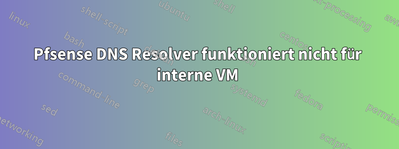Pfsense DNS Resolver funktioniert nicht für interne VM