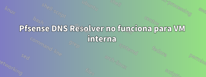 Pfsense DNS Resolver no funciona para VM interna