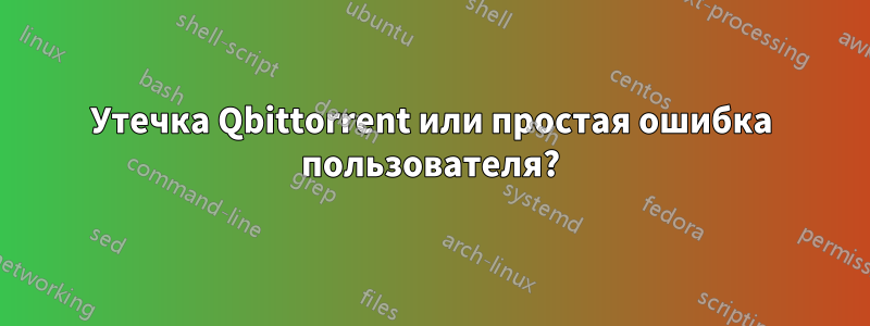 Утечка Qbittorrent или простая ошибка пользователя?