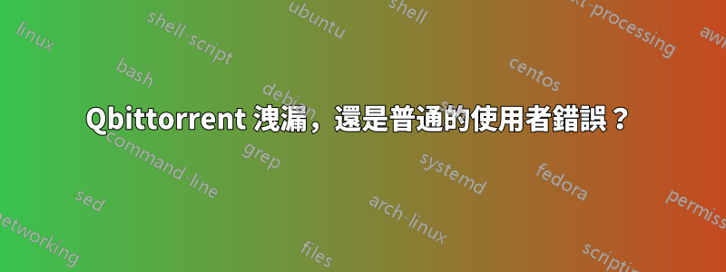 Qbittorrent 洩漏，還是普通的使用者錯誤？