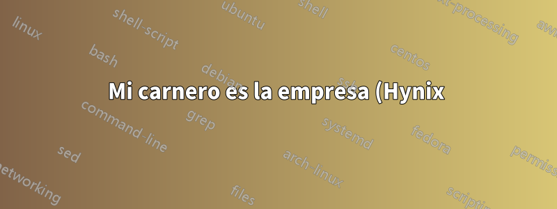 Mi carnero es la empresa (Hynix) como se indica en la foto. Pero en Cpu-Z indica Model Manufacturer (Kingston). ¿Por qué Cpu-z muestra el nombre de otro fabricante?