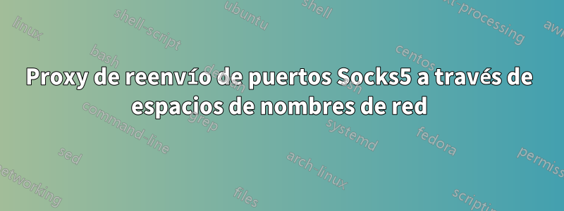 Proxy de reenvío de puertos Socks5 a través de espacios de nombres de red