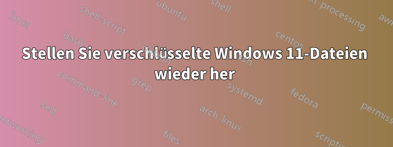 Stellen Sie verschlüsselte Windows 11-Dateien wieder her