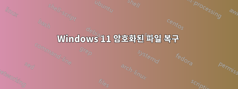 Windows 11 암호화된 파일 복구