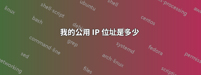 我的公用 IP 位址是多少