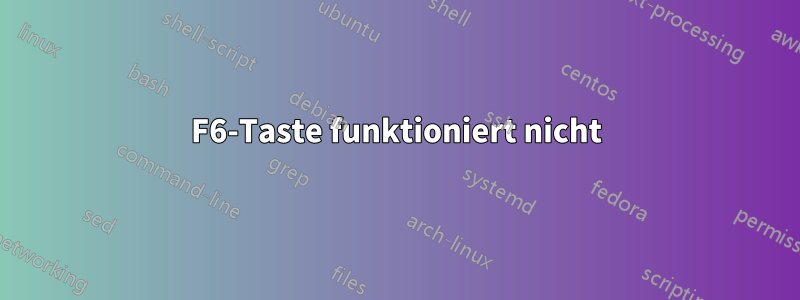 F6-Taste funktioniert nicht