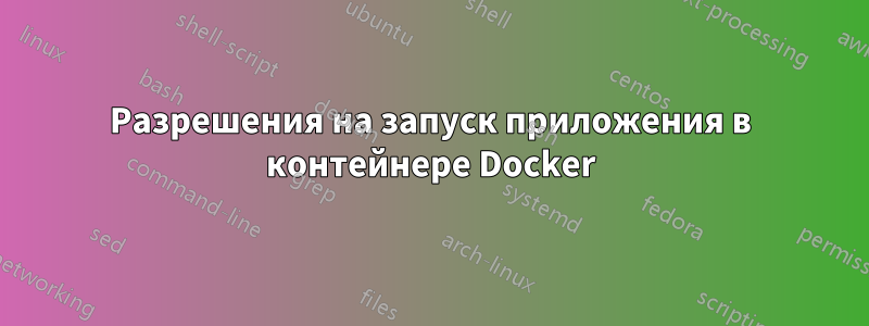 Разрешения на запуск приложения в контейнере Docker