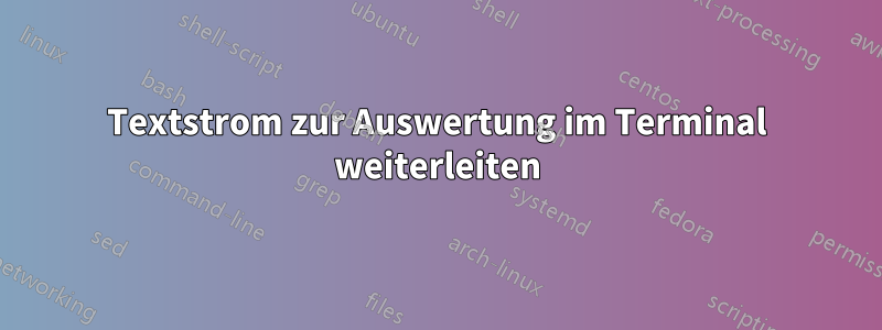 Textstrom zur Auswertung im Terminal weiterleiten