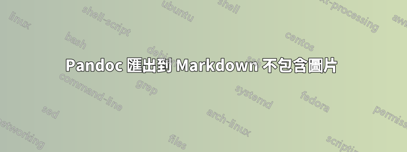 Pandoc 匯出到 Markdown 不包含圖片