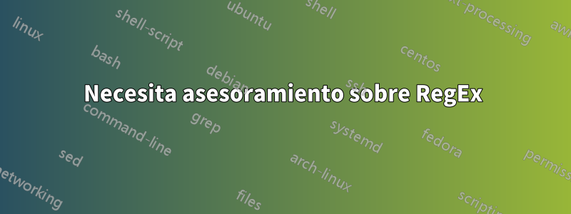 Necesita asesoramiento sobre RegEx