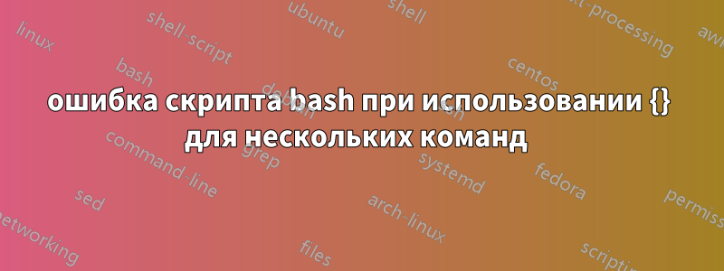 ошибка скрипта bash при использовании {} для нескольких команд 