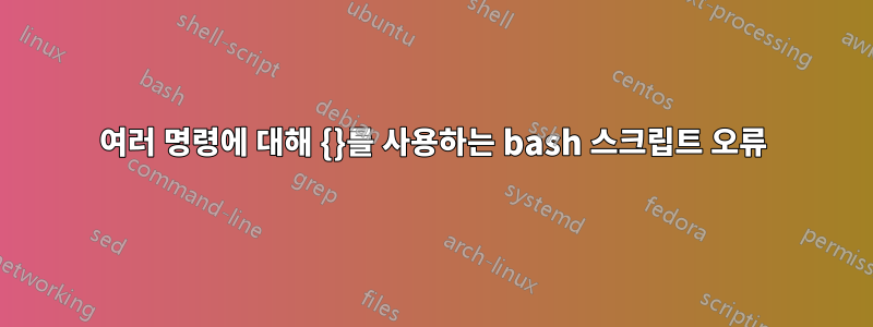 여러 명령에 대해 {}를 사용하는 bash 스크립트 오류