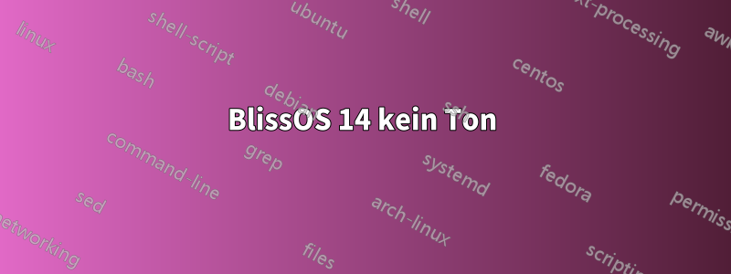 BlissOS 14 kein Ton