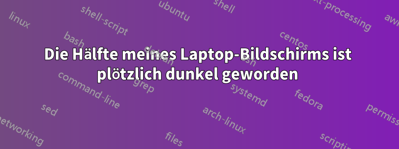 Die Hälfte meines Laptop-Bildschirms ist plötzlich dunkel geworden