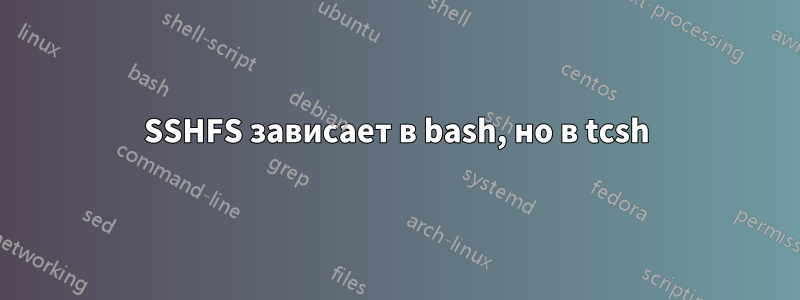 SSHFS зависает в bash, но в tcsh