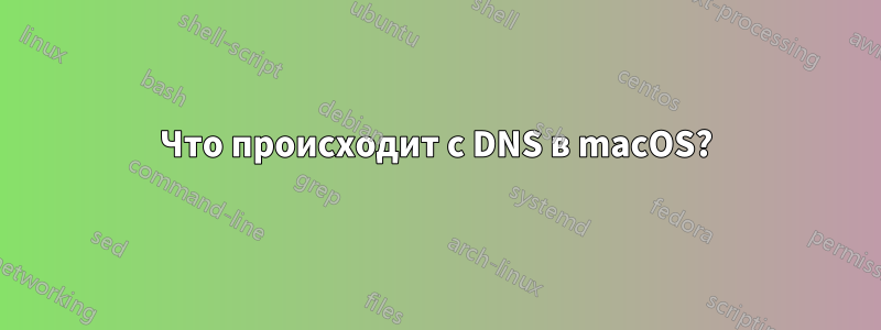 Что происходит с DNS в macOS?