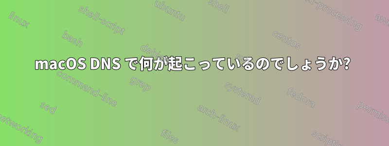 macOS DNS で何が起こっているのでしょうか?