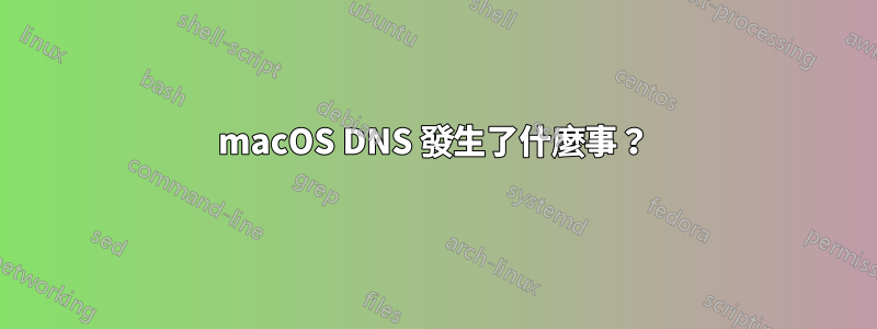 macOS DNS 發生了什麼事？