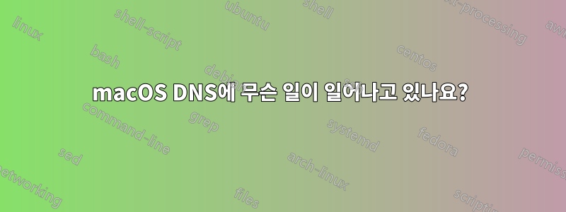 macOS DNS에 무슨 일이 일어나고 있나요?