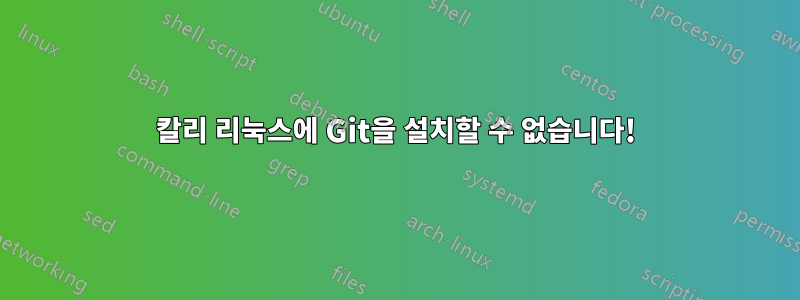 칼리 리눅스에 Git을 설치할 수 없습니다!