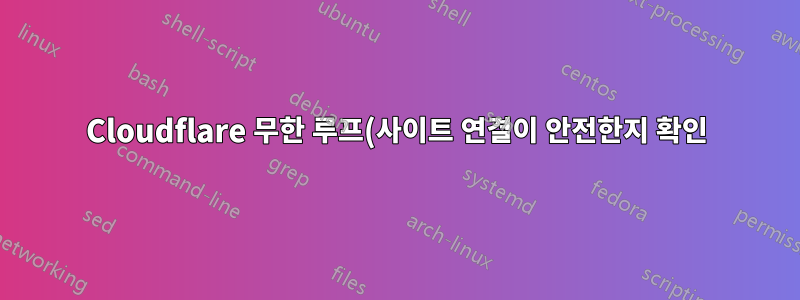Cloudflare 무한 루프(사이트 연결이 안전한지 확인)