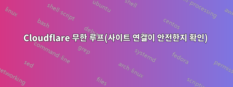 Cloudflare 무한 루프(사이트 연결이 안전한지 확인)