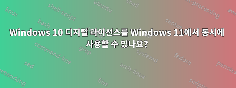 Windows 10 디지털 라이선스를 Windows 11에서 동시에 사용할 수 있나요?