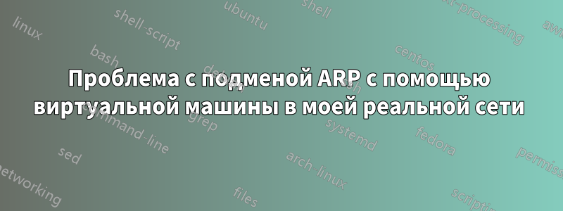 Проблема с подменой ARP с помощью виртуальной машины в моей реальной сети